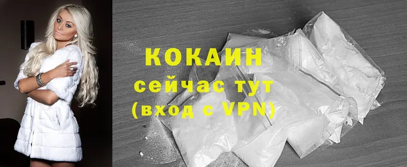 закладки  Кирсанов  COCAIN Боливия 